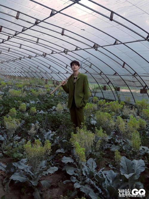 惬意吃瓜视频在线观看免费,免费观看吃瓜视频盛宴